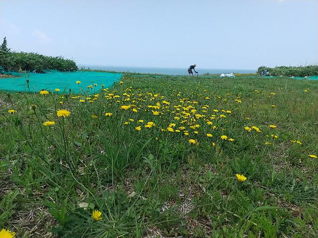 石狩川河口から少し北へ、望来海...