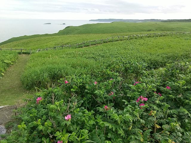 霧多布岬へ