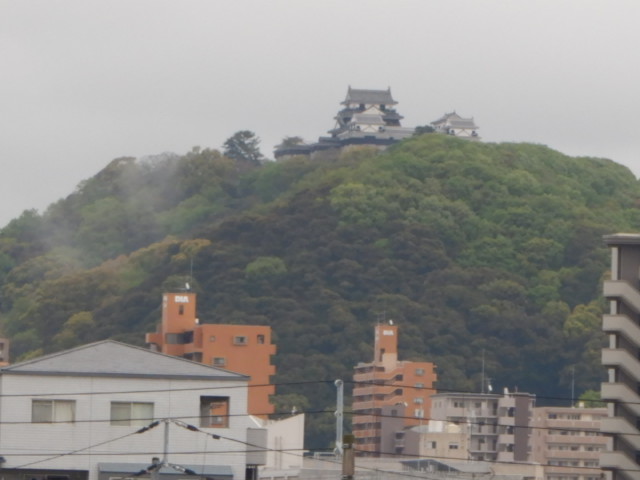 松山城遠望。今日時間と気力が有...