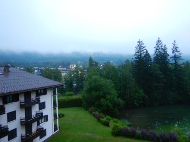 昨日午後からずっと雨。今朝、毎...
