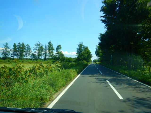 十勝清水に降りて来た。道路が直...