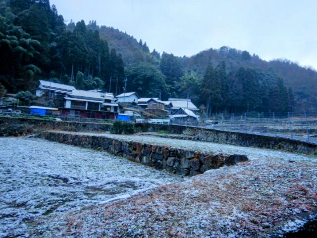 夜半から白いものがチラチラ降っ...