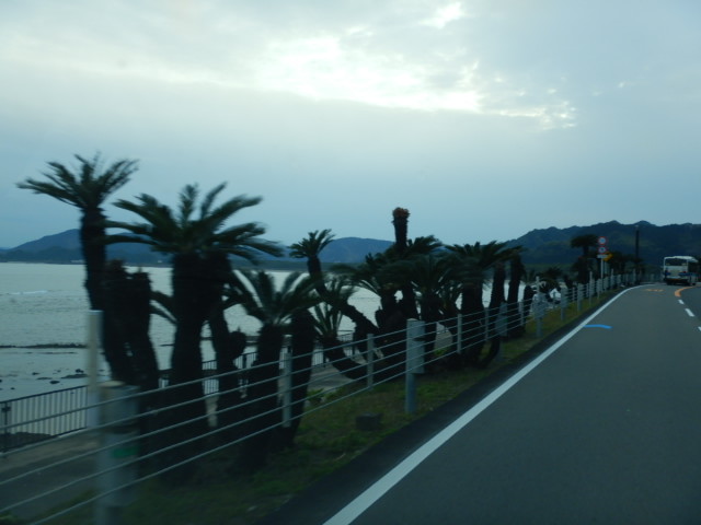 青島を飛べた、満足。さあ大隅半...