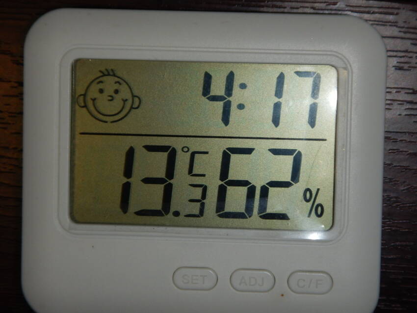 太陽が来た様な気配を感じて寝床...