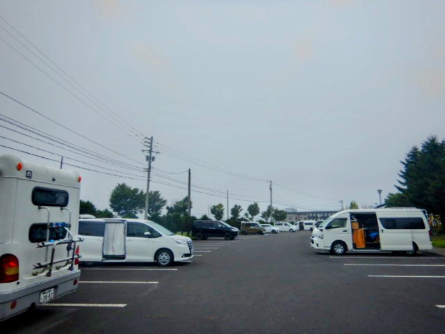 ギリ飛べたルスツパラ