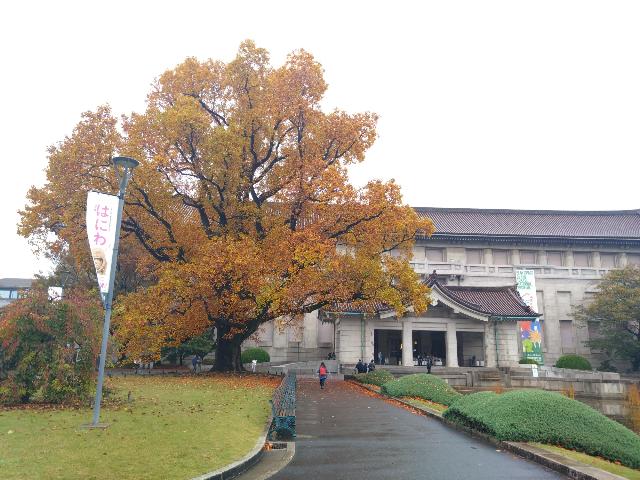 東京国立博物館本館前のこの大き...