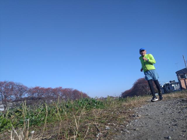 11/29に2カ月振りに走った...