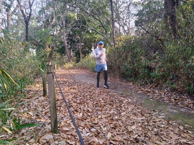 山陰から関西に移動した。やっぱ...