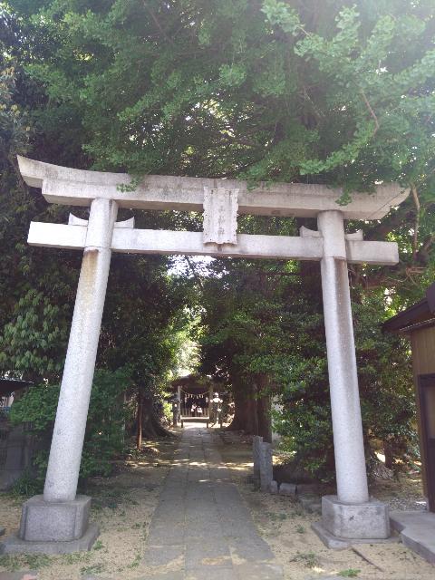 ※4月29日の「スペインを歩く...
