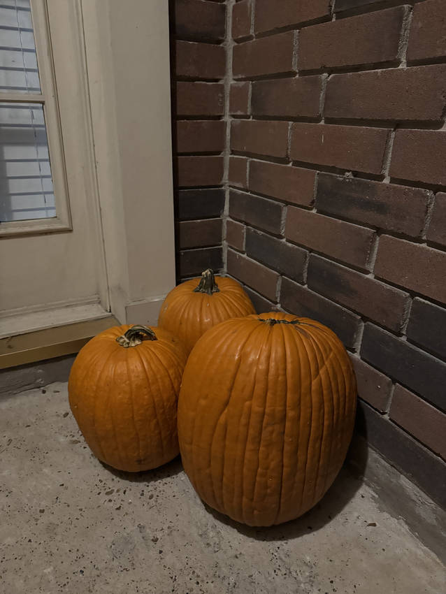 かぼちゃの季節🎃