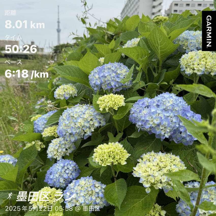 5/22(木)の朝活報告
