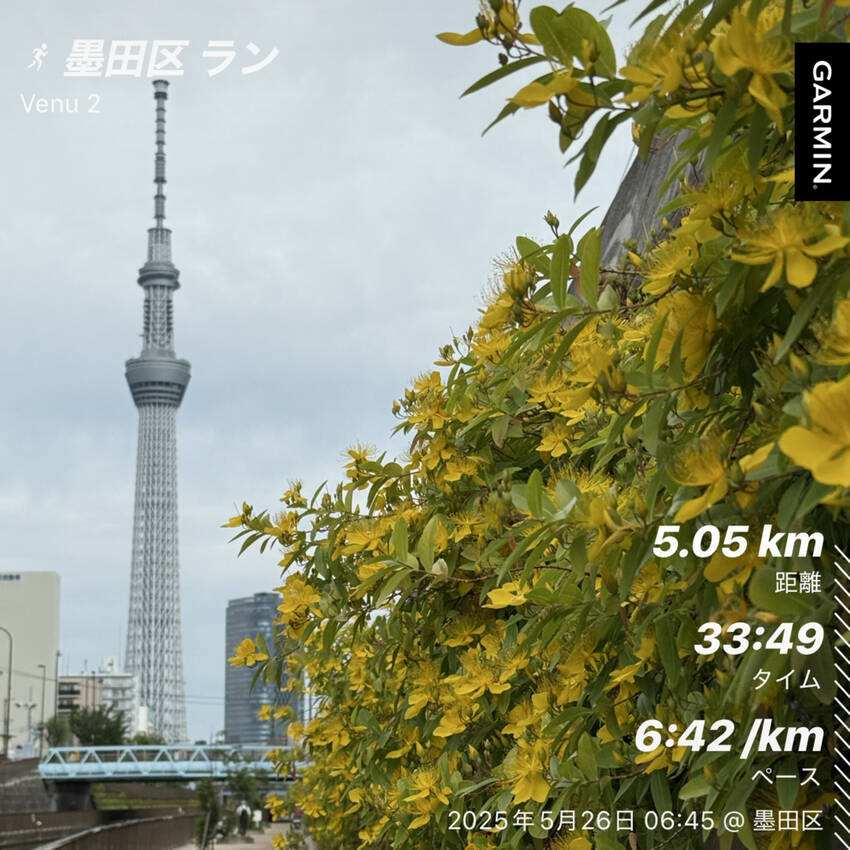 5/26(月)の朝活報告★5月...
