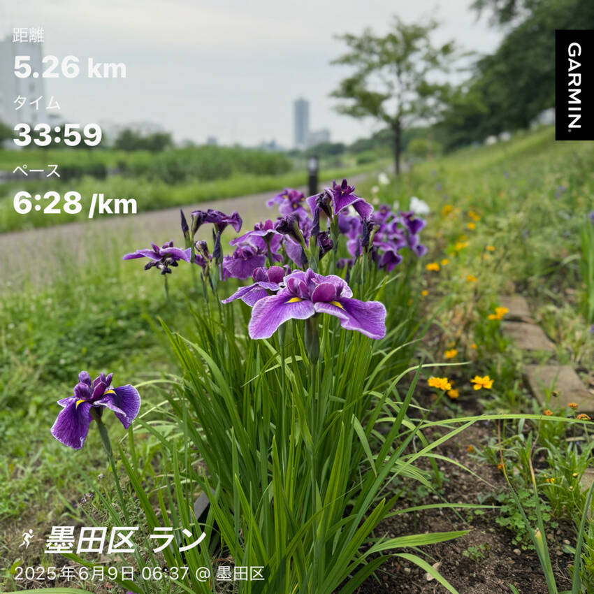 6/9(月)の朝活報告