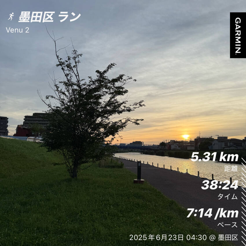 6/23(月)の朝活報告