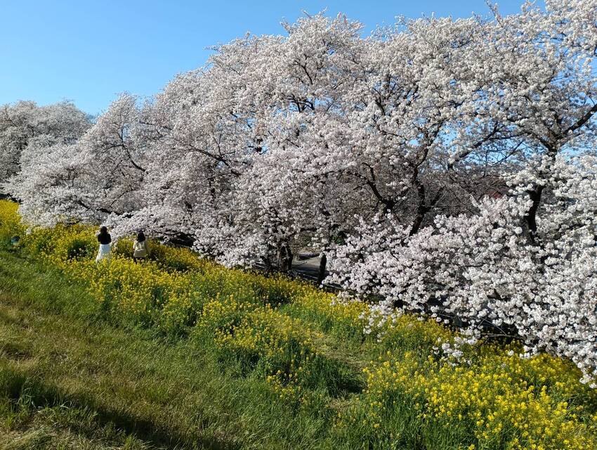 友達からです。どこなのでしょう...