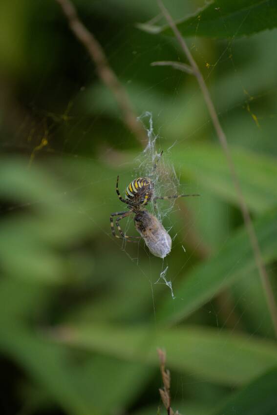 Mr. Mateusz Bajdak's photo fro...