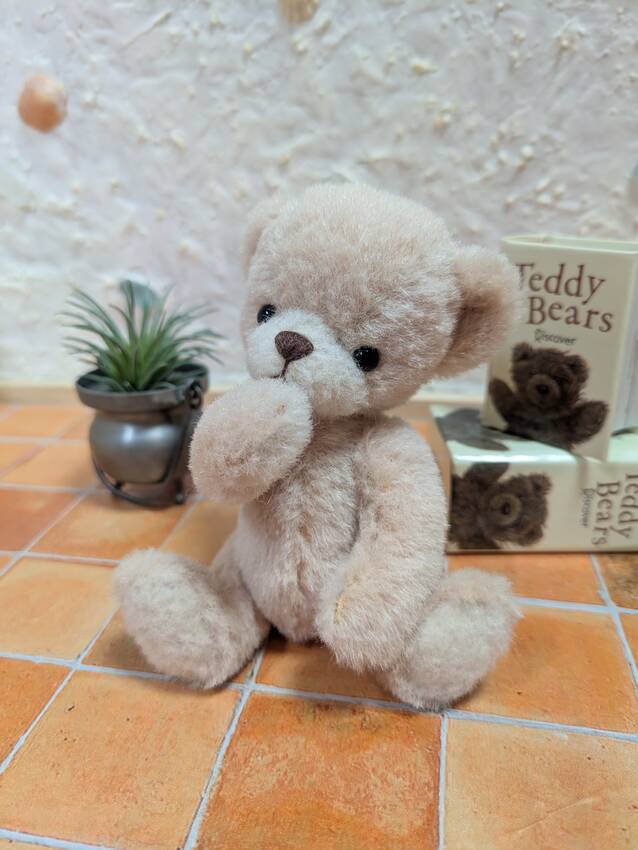 もこもこした感じがぬいぐるみら...