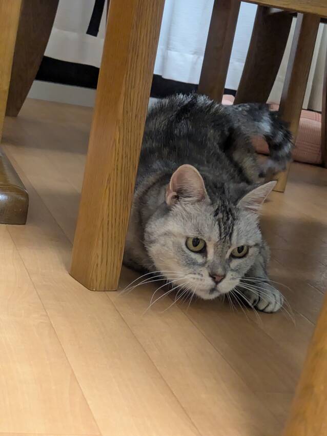 野性を感じますね~。ここから一...