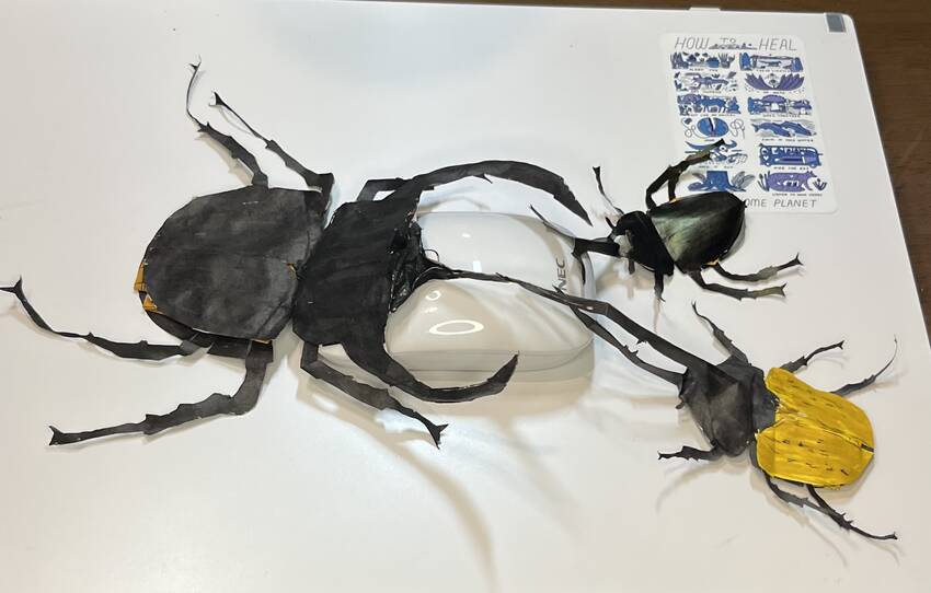 コーカサスカブトムシとヘラクレ...