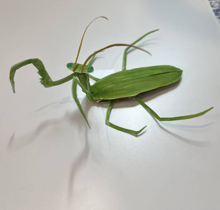 カマキリ