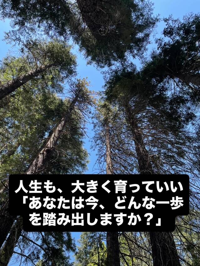 セコイヤの森で見つけた、新しい...