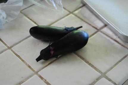 かわいらしい　ナスビ　 食べれ...