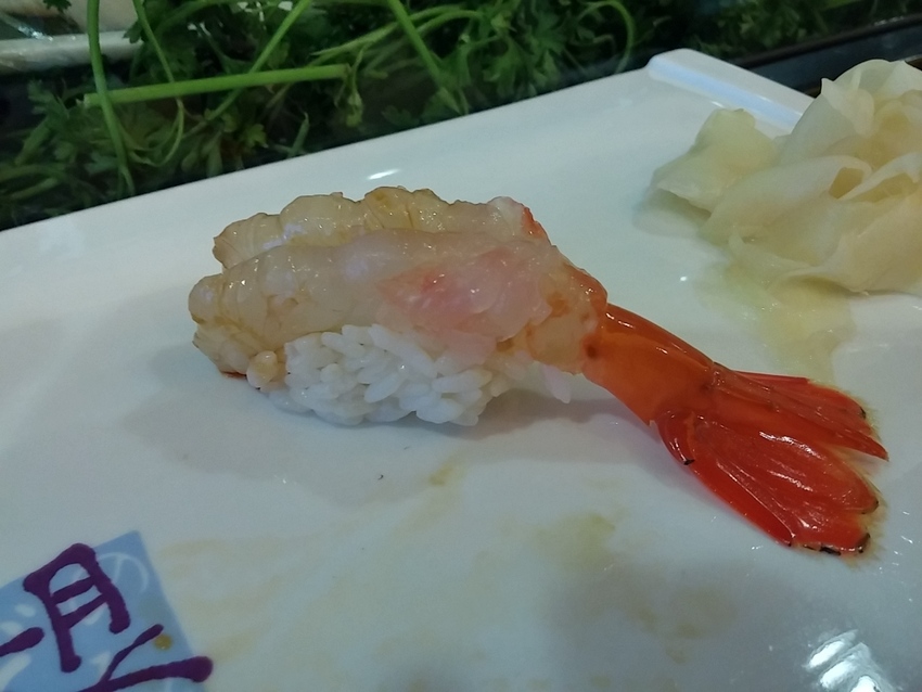 SUSHI 寿司