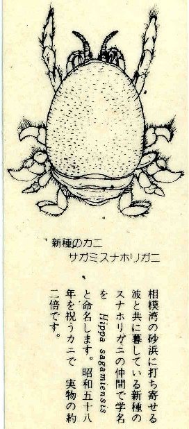 昭和天皇のご学友、酒井　恒先生...