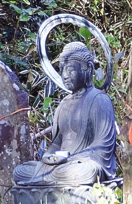 箱根・塔ノ沢・阿弥陀寺境内の野...