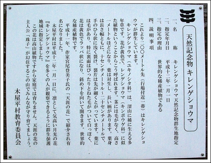 是非にも訪ねたい・・・剣山。
