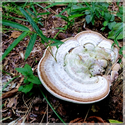 《襍感・/・古往今来180》林...