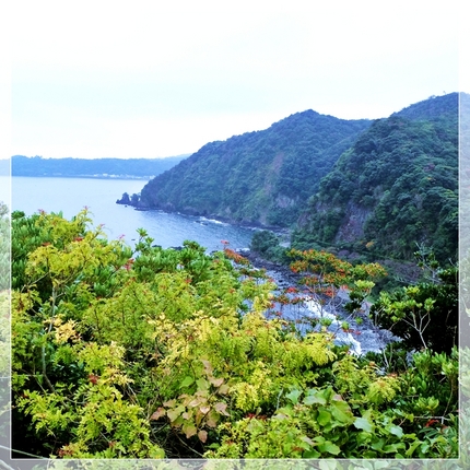 伊豆、汐吹埼海岸線《襍感 ・/...