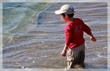“波打ち際の魚”《襍観 ・/・...