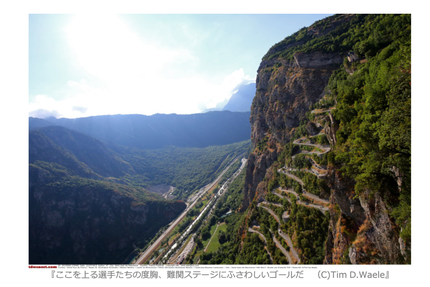 “自転車ロードレース”《襍感 ...