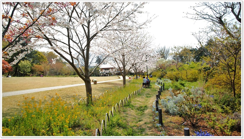 裏庭庭園の一部。