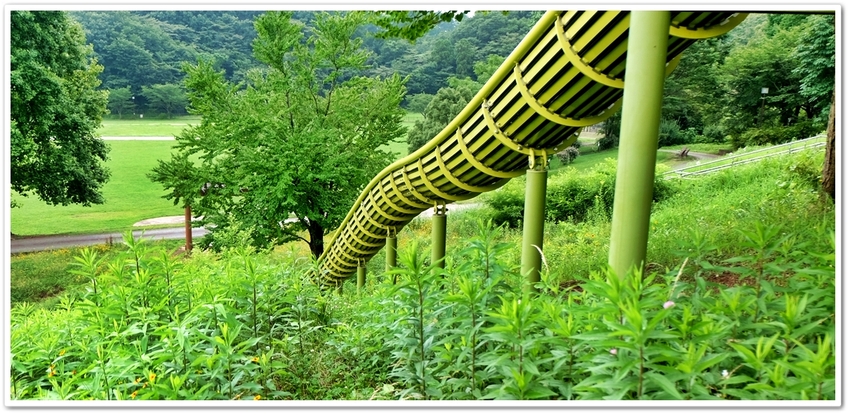 厚木市荻野運動公園。野草園は、...