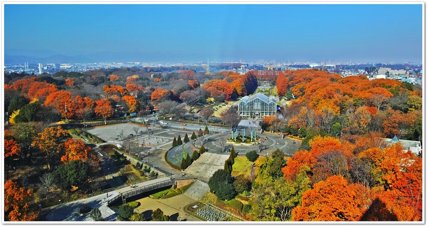 麻溝公園展望塔からの相模原公園...