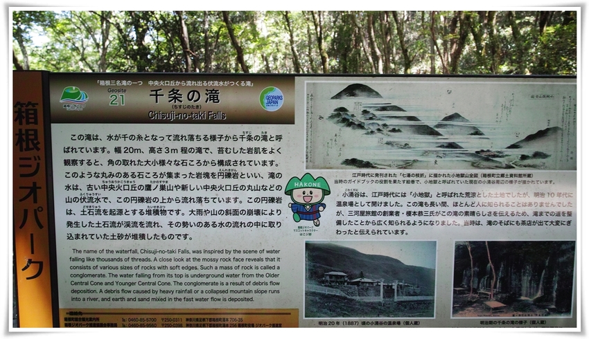 《 緑・気・浴（31）“箱根－...