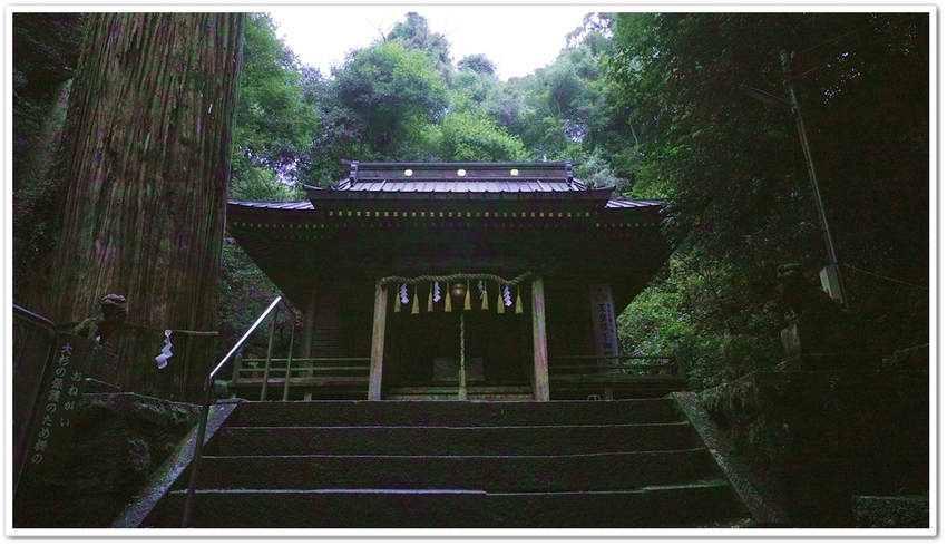 八幡宮来宮神社本殿。