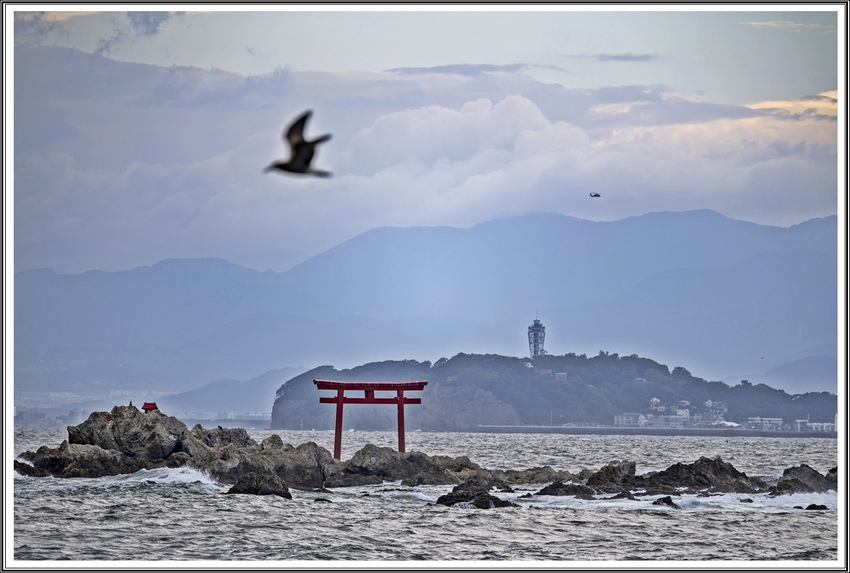 画像は、葉山森戸海岸からの江ノ...