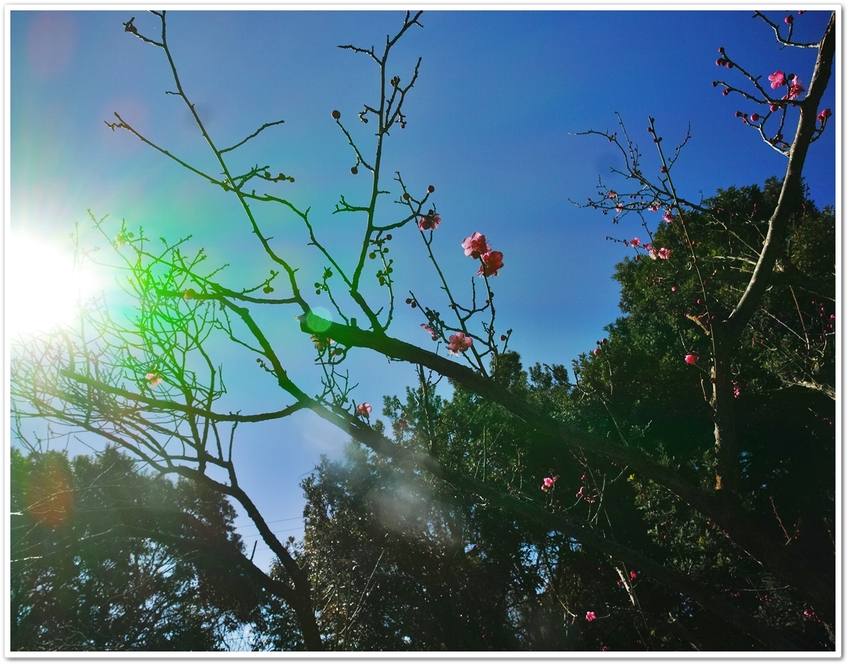 天気は、良かったのに・・・公園...