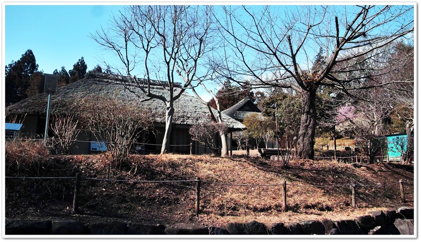 手前、旧小川家。奥、旧北島家。