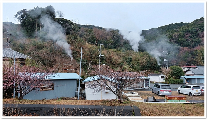 《襍・/・囈“植物（7）南伊豆...