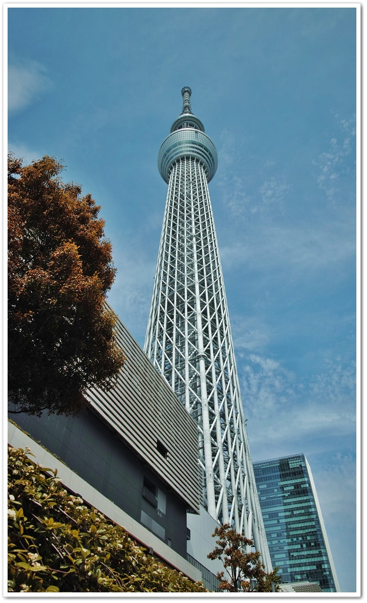 建設中の頃に此処スカイツリー建...