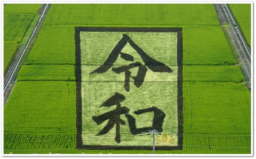 令和時代中に、より良き時代にな...