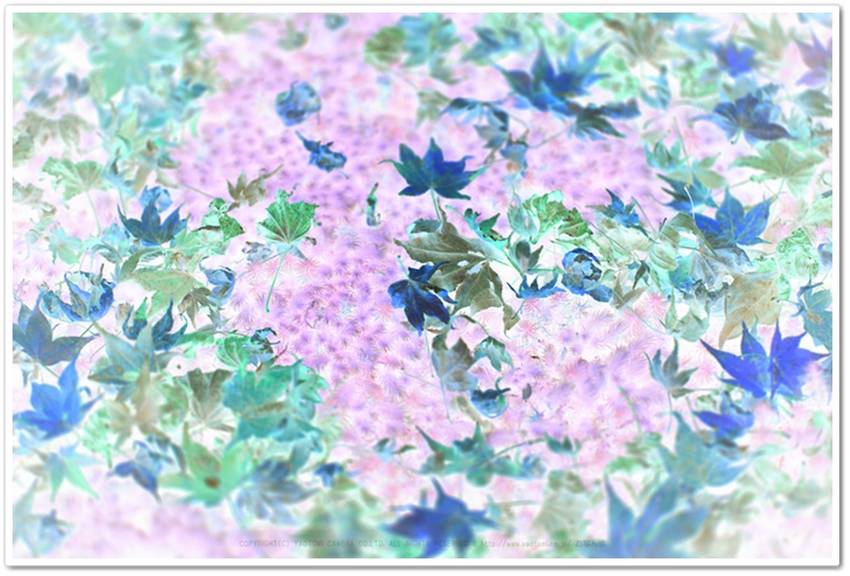 《襍・/・囈 “黄葉・紅葉 '...