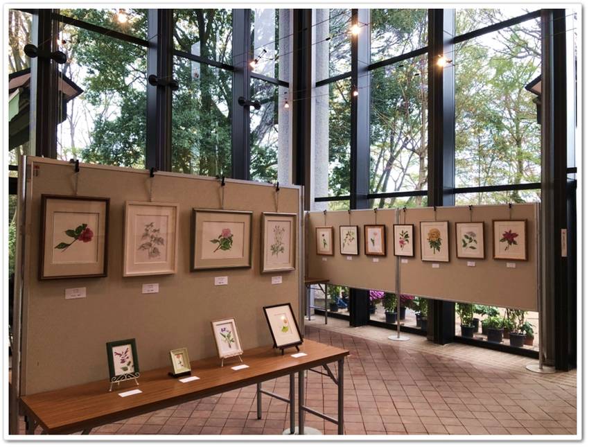 《襍・/・囈 “緻密植物画！！...