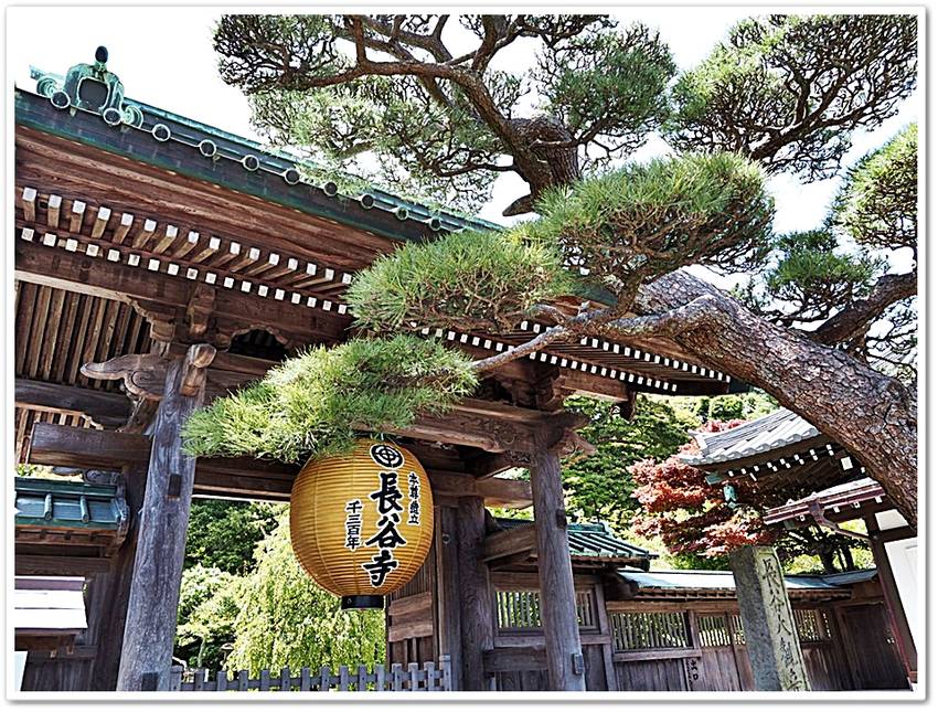 《凡・/・声　気になる“現代の...