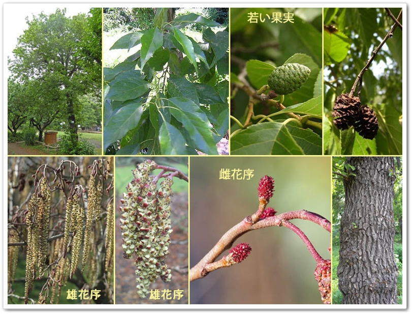 部分画像は、借り物画像。...