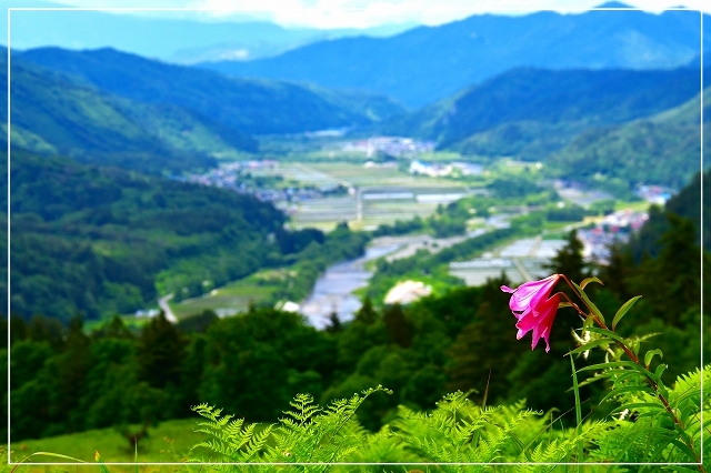 緑濃い会津田島近郊の景観。